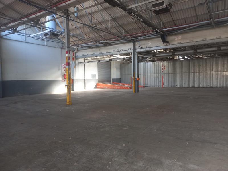 To Let commercial Property for Rent in North End Eastern Cape